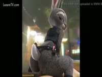 Furry animal babe loves riding a beastiality cock